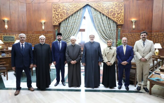 Salik meets Grand Imam in Cairo, proposes enhanced Pakistan-Al-Azhar cooperation