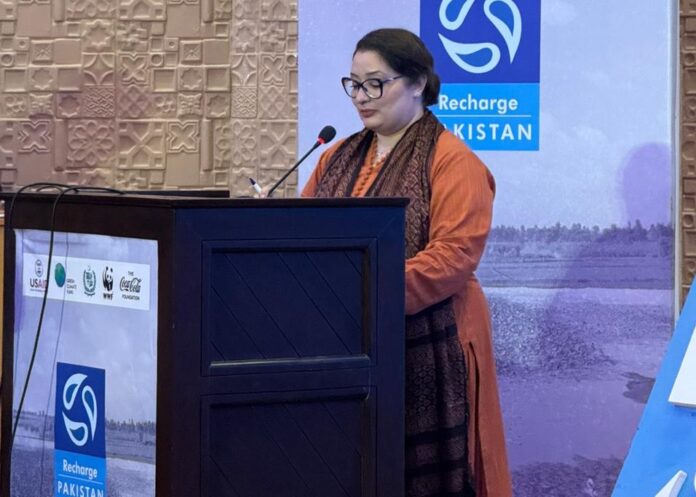 PM’s aide Romina launches Recharge Pakistan—excess floodwater management initiative