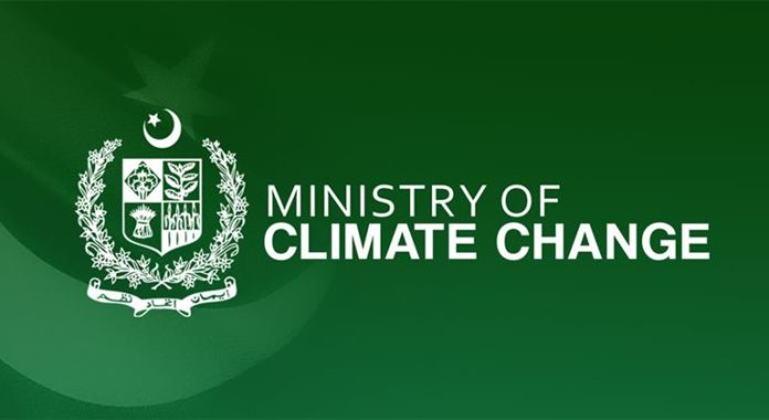 Pakistan eyes local solutions, accountability post-COP 29, says Climate Committee