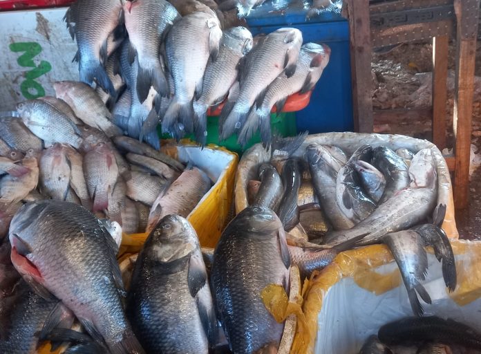 Vendors, customers grapple with high fish prices as winter sets in