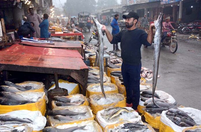 A vendor displaying fish to attract the customers at Novelty Bridge Fish Market.