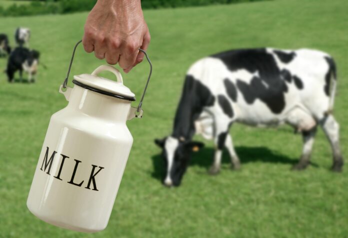 Milk Business: A key to alleviating poverty in rural areas of Pakistan