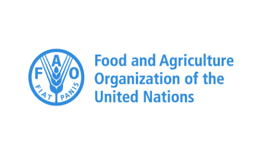 FAO celebrates World Food Day, advocates for “Right to Foods for a Better Life and Future”