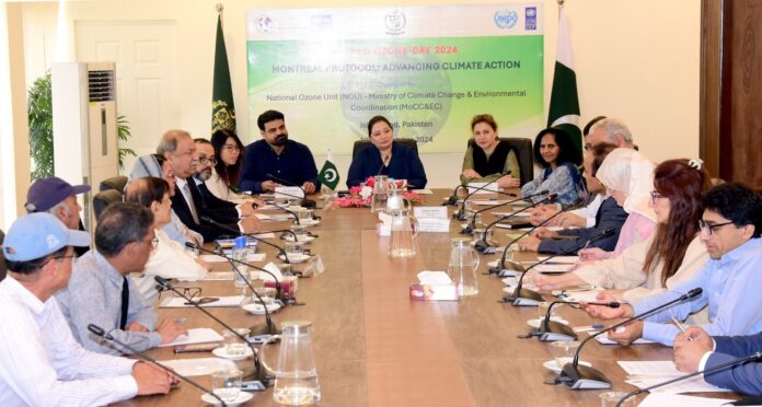 Pakistan committed to global ozone layer protection for human, environmental sustainability: Romina