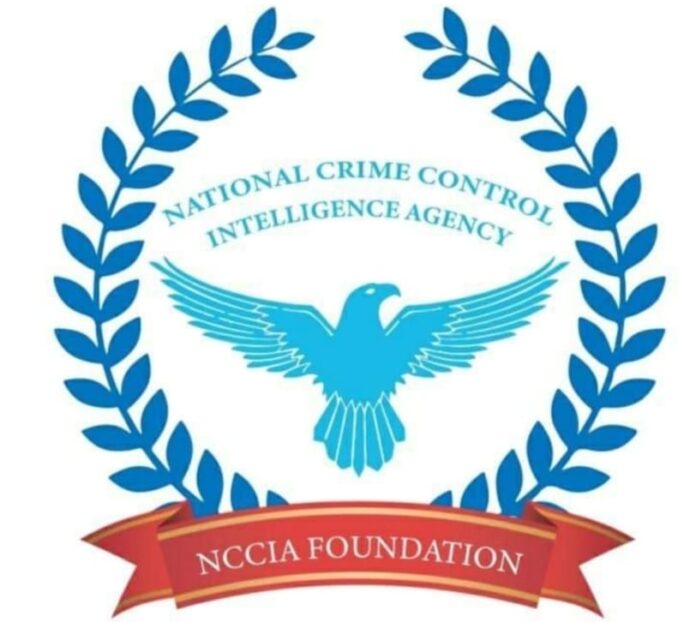 NCCIA to be functional in two months after chairman, officers appointment, NA told