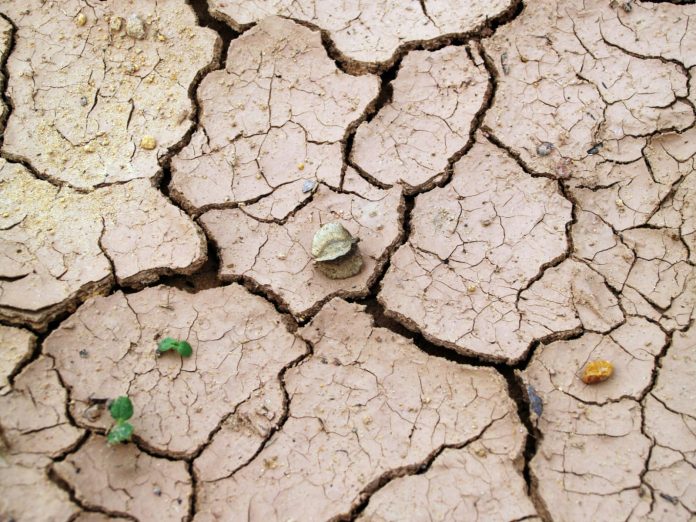 Dry Weather takes hold, country grapples with health, agriculture, climate concerns