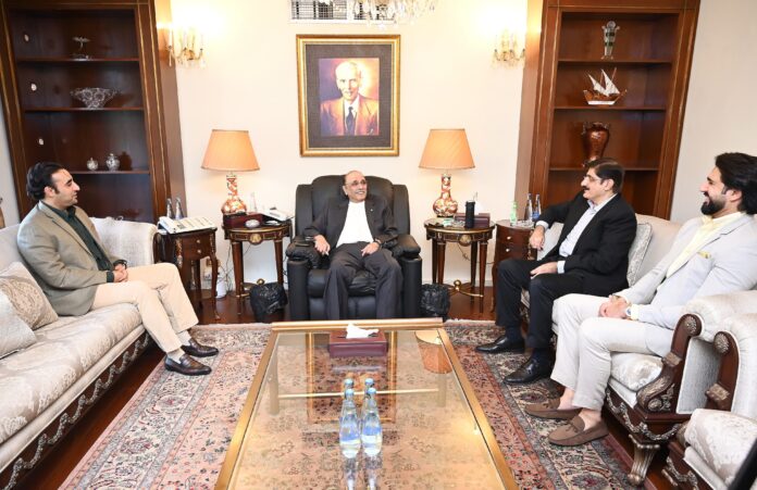 CM Sindh calls on President Zardari