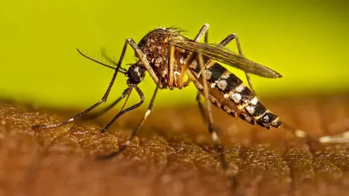 Self medication, delayed reporting termed core reasons to dengue fatalities