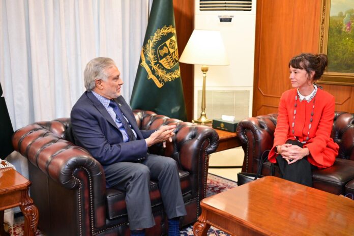 Sweden envoy calls on DPM Dar