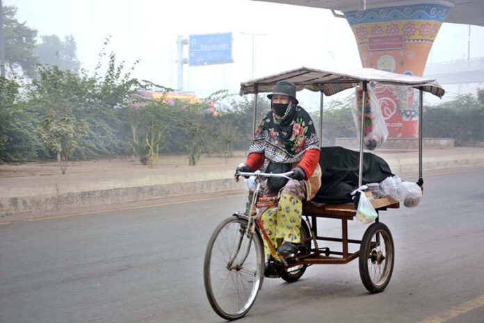 A woman vendor on the way on a cycle cart and sells food items in the city.