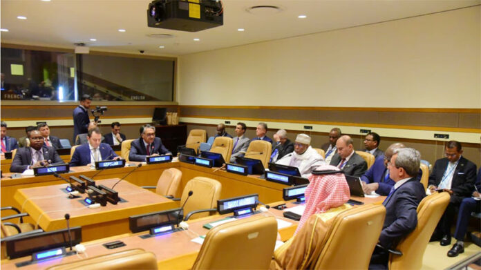 OIC Contact Group reaffirms support for Kashmiris’ right to self-determination