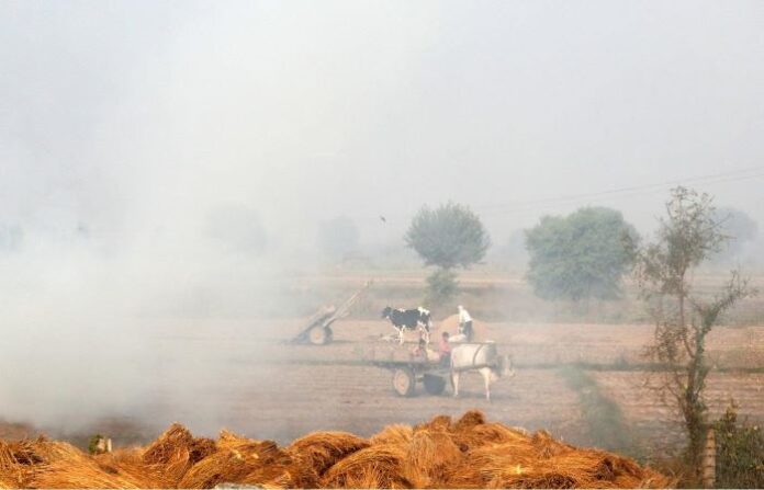 The unseen costs of air pollution in Pakistan’s rural life, agriculture