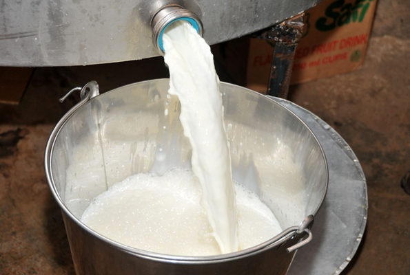 IFA actions against contaminated milk; destroys 14,000 ltrs milk