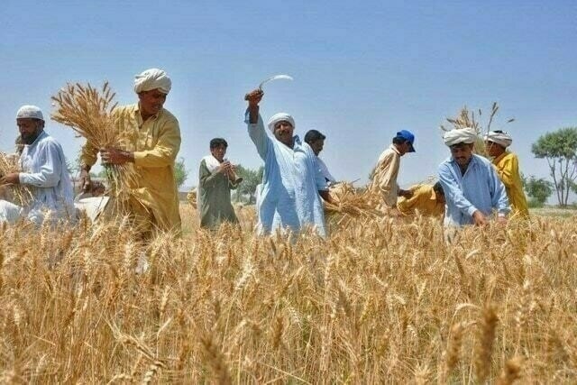 Pb govt announces Kisan Dost Package of Rs 64.60 bln in budget