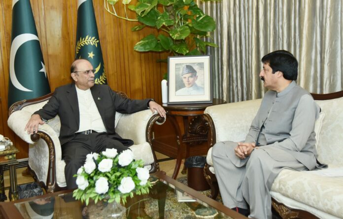 Governor Punjab calls on President Zardari