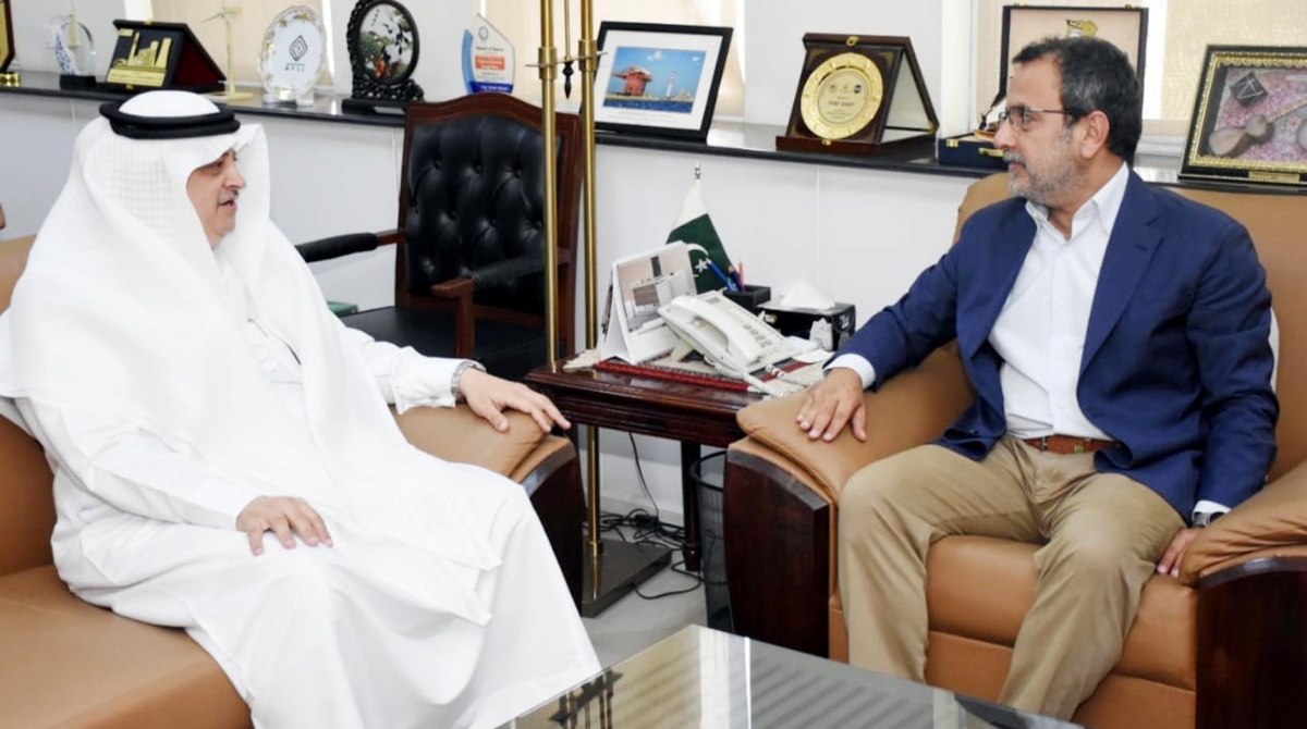 Saudi ambassador calls on minister for Power