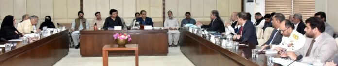 Senate body reviews strategic initiatives, operational reforms of maritime sector