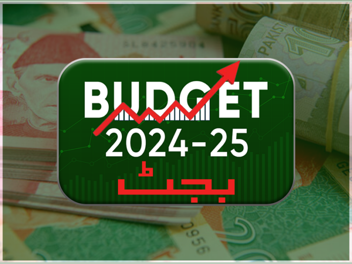 Budget 2024-25: No duty increase on import of essential items