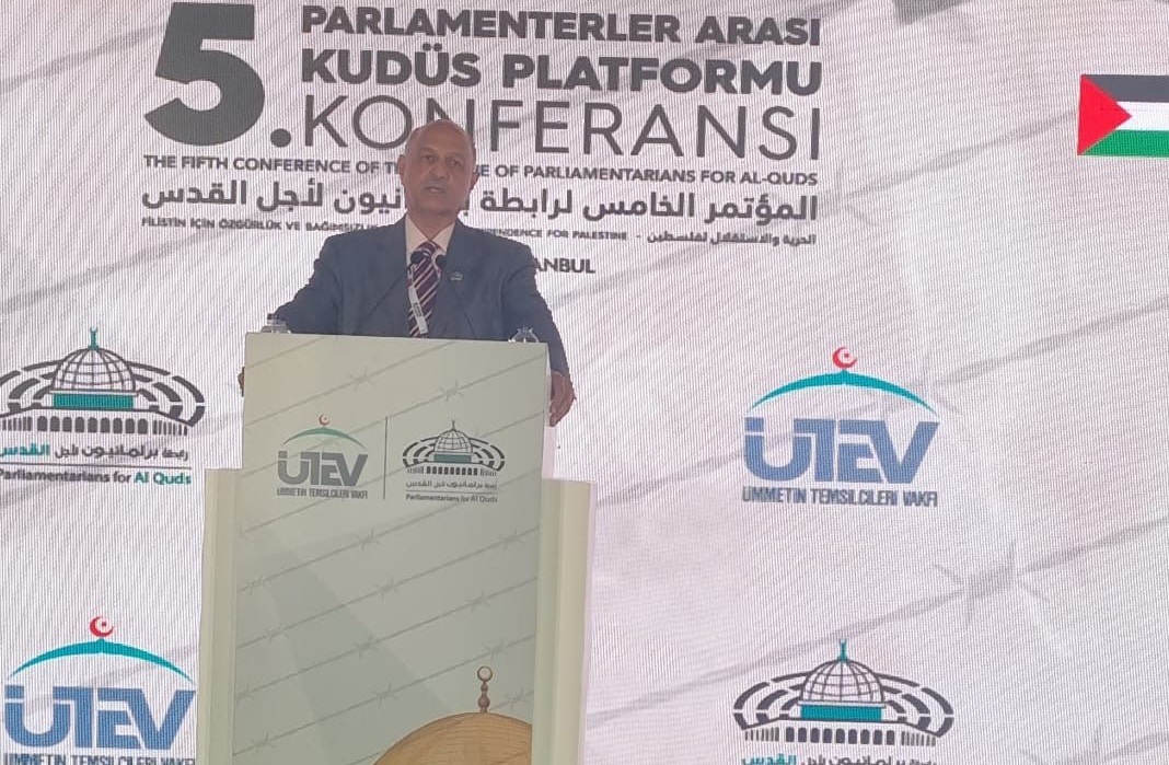 Palestine part of Pakistan’s DNA; Mushahid tells Istanbul Int’l Conference