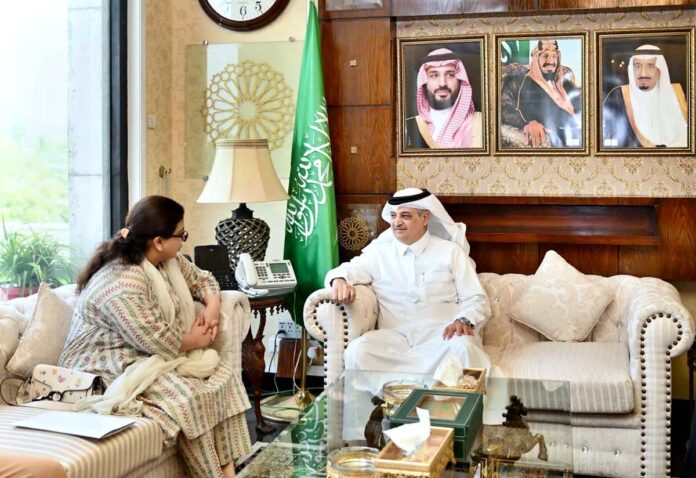 Pakistan, Saudi Arabia to enhance cooperation in IT Telecom sector