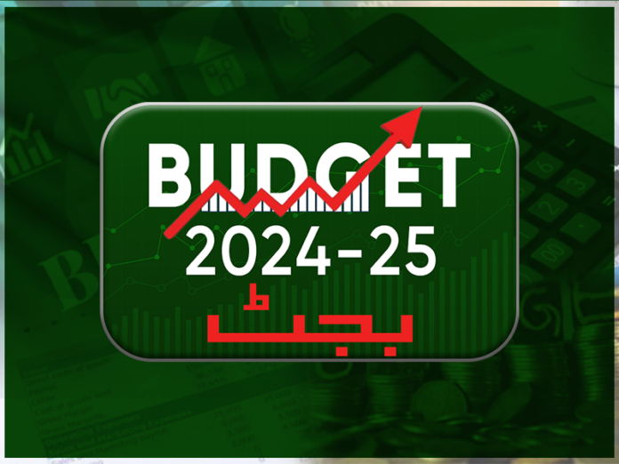 Sahibzada Shabbir terms federal budget people, business friendly