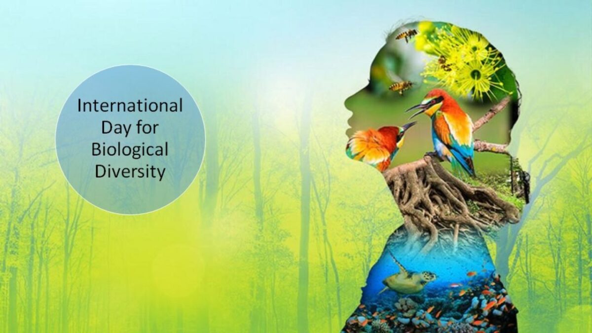 International Day of Biological Diversity observed