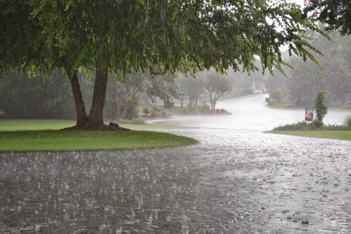 Monsoon rains to enter Islamabad, other cities this week: DG