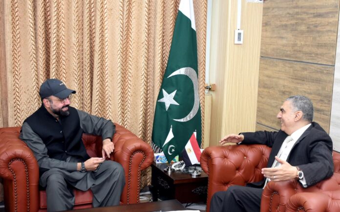 Pakistan, Egypt agree to enhance cooperation in religious education