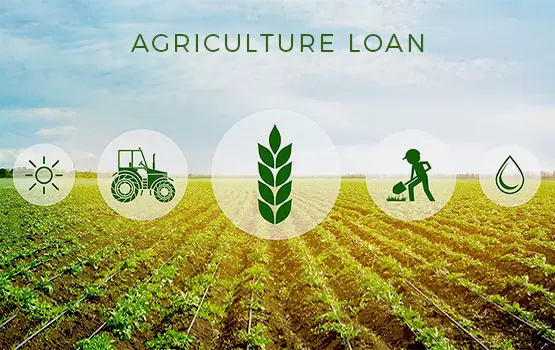 KSC provides agricultural loans to farmers