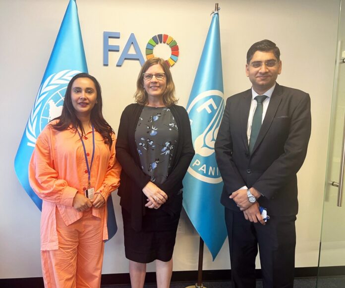 YPP delegation highlights Pakistan’s efforts at UN high-level forum