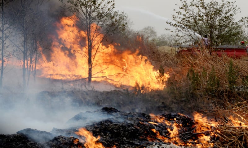 3 held for suspected arson on Margalla Hills