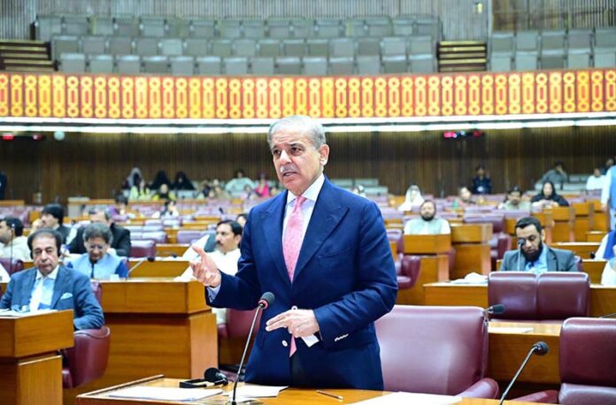 No decision on wheat export: PM Shehbaz tells NA