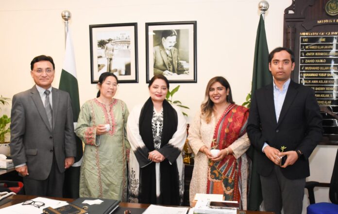 Pakistan making efforts to benefit from UN’s carbon trading system: Romina