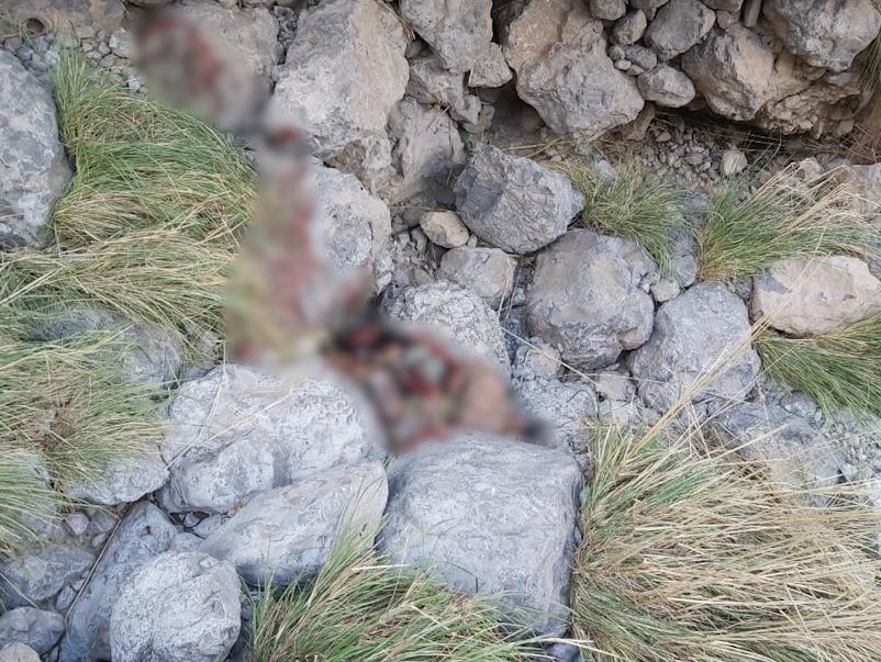 Terrorist attempting to stop passenger vehicle killed, other injured by security forces in Harnai