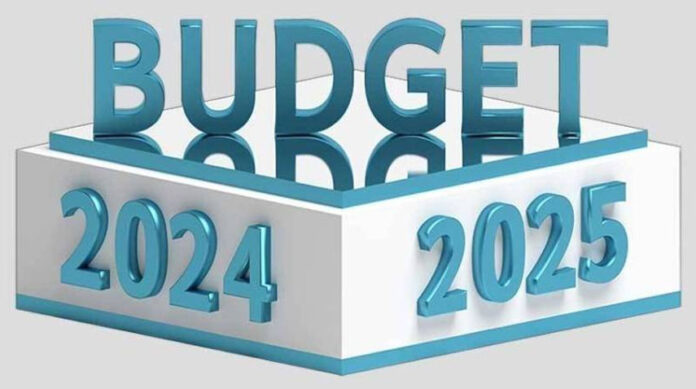 Citizens hail Federal Budget 2024-25 for people-friendly measures, economic stability