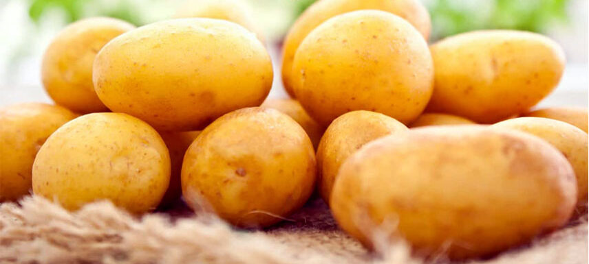 International Day of Potato being observed