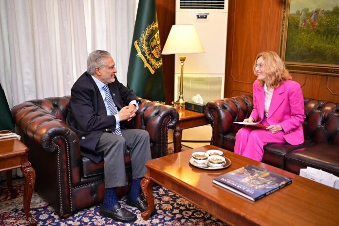 Amb. of Netherlands calls on DPM/FM Dar