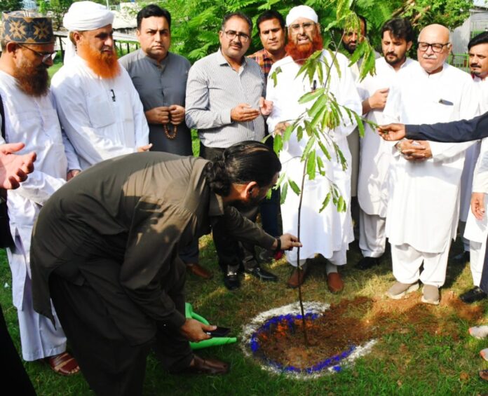 FGRF starts countrywide plantation campaign