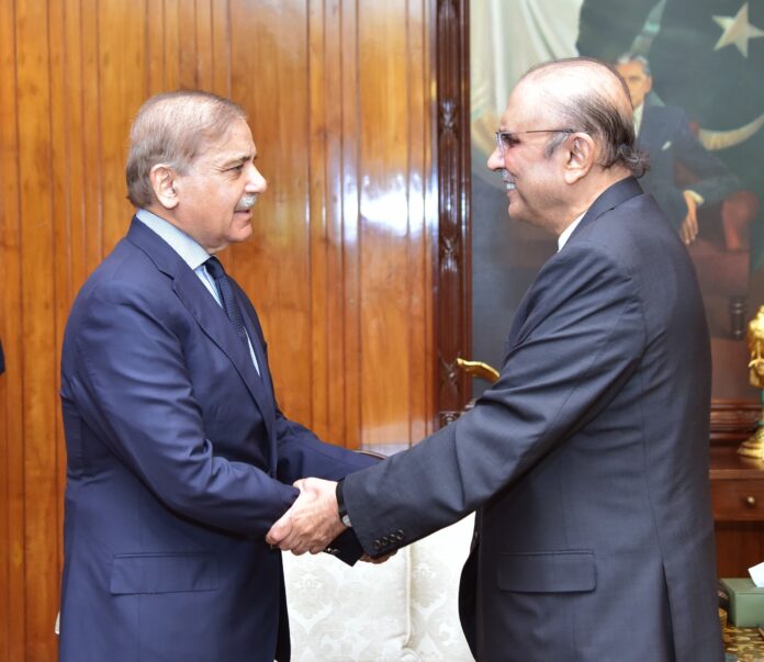 President Zardari, PM Shehbaz discuss public relief in upcoming annual budget