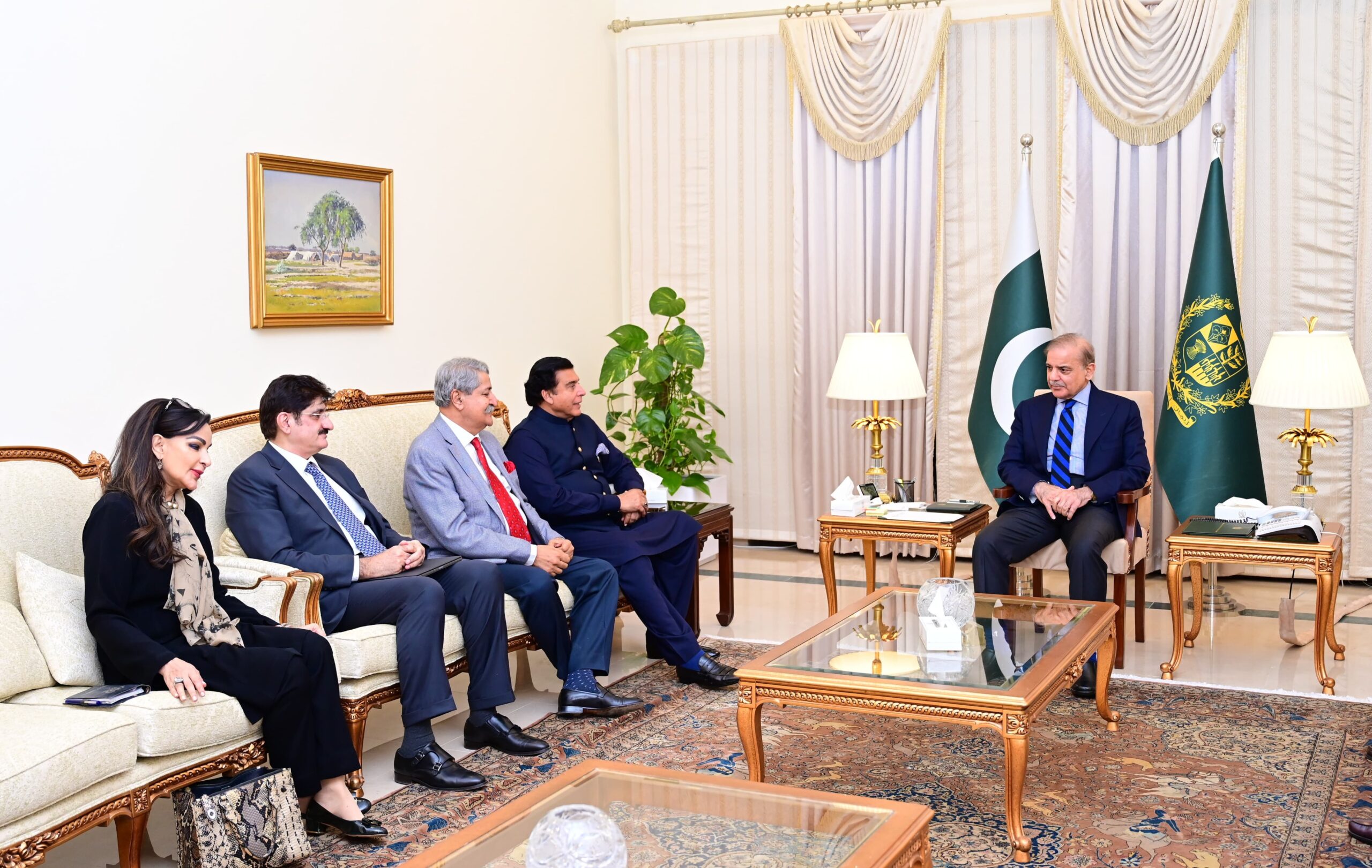 PPP delegation calls on PM Shehbaz Sharif