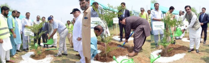 NHA Chairman launches tree plantation campaign