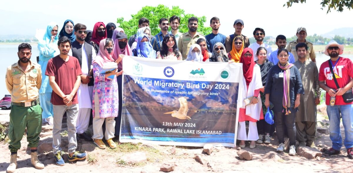 Arid University, QAU students mark World Migratory Birds Day