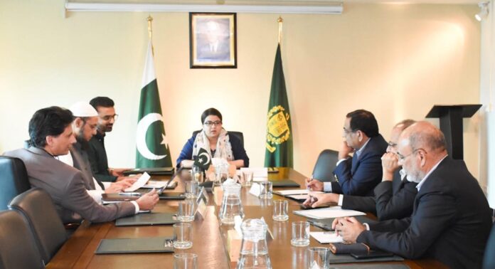 Shaza chairs first meeting of functional committee on IT & Telecom