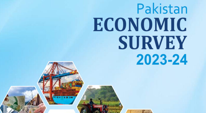 Govt carries out 88% financing of fiscal deficit through domestic markets: Economic Survey