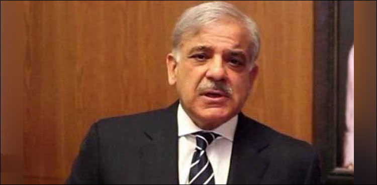 PM expresses grief over death of veteran artist Talat Hussain