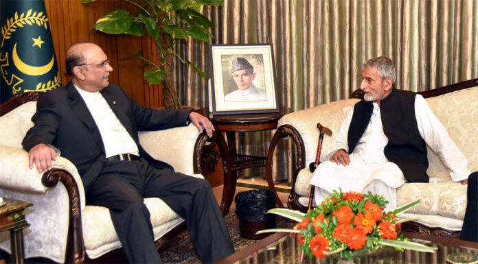 President Zardari, Bilour discuss national issues