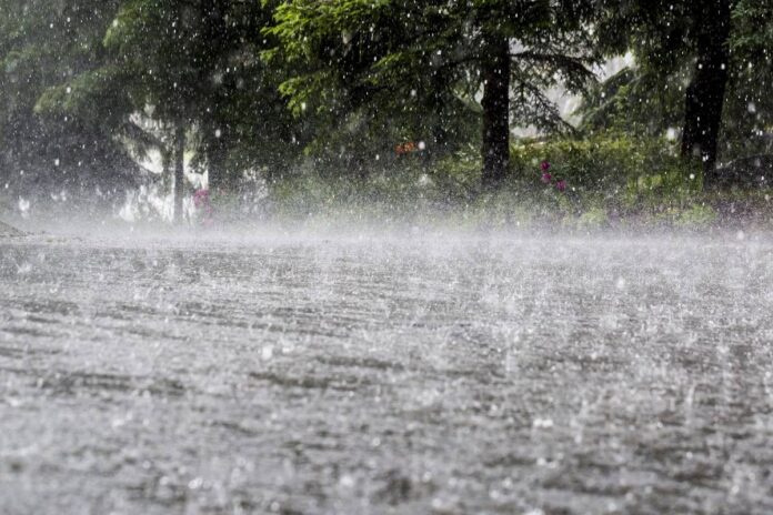 Flood risk imminent as heavy rain predicted in next 24 hours.