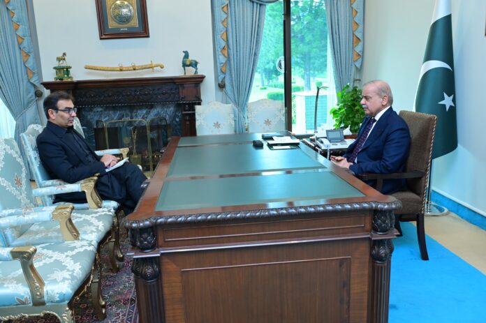 SAPM Ali meets Prime Minister Shehbaz