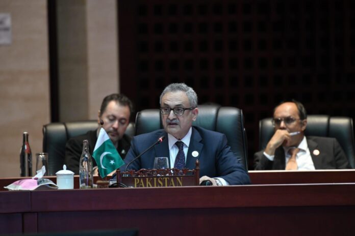 At ASEAN moot, FS Qazi shares Pakistan perspective on situation in IIOJK, Gaza