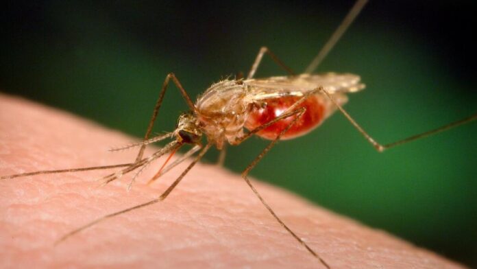 Cholera, Malaria lurk during monsoon-water, “parents ask to beware”